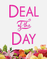 Deal of the Day
