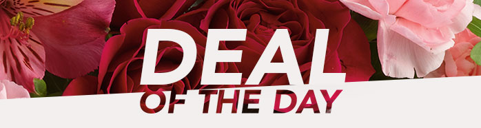 DEAL OF THE DAY