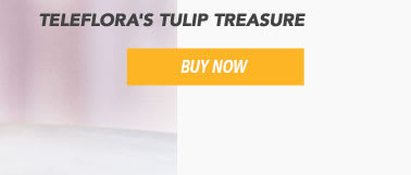 Teleflora's Tulip Treasure