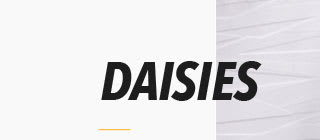 DAISIES