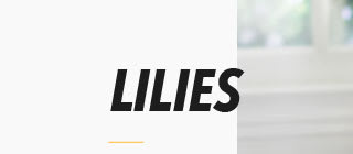 LILIES
