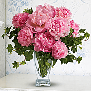 LAST CALL FOR PEONIES
