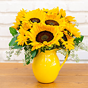 Let <br> Sunshine In