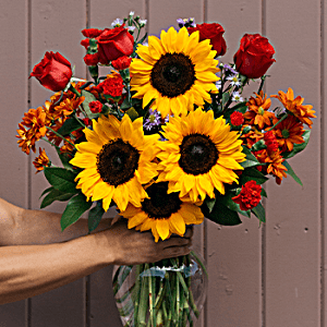 REVOLVING AROUND THE SUNFLOWERS
