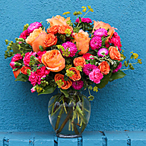 SHOP OUR FAVORITE SUCCULENTS