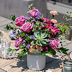 FIND STUNNING<br>SUCCULENTS