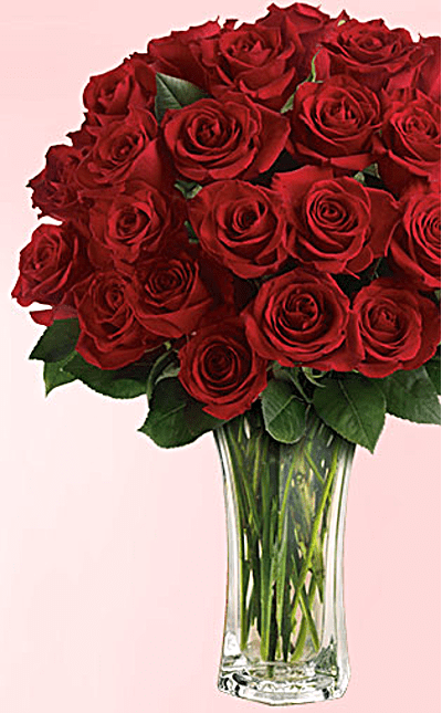 Love and Devotion - Long Stemmed Red Roses