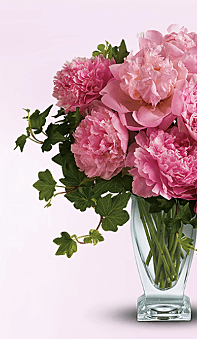 Teleflora's Perfect Peonies
