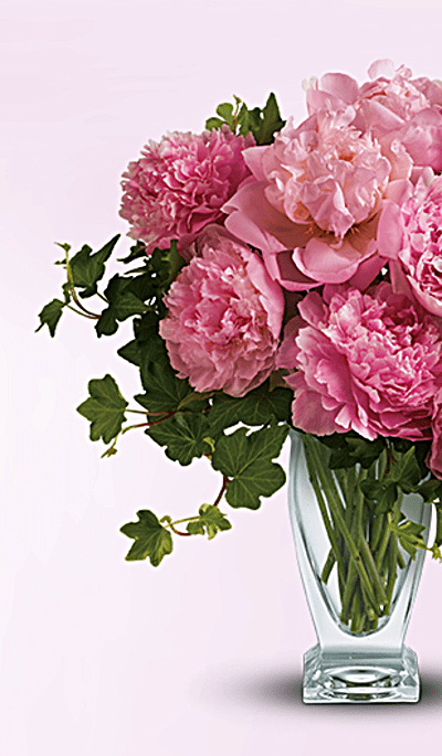 Teleflora's Perfect Peonies
