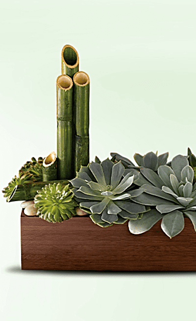 Teleflora's Peaceful Zen Garden