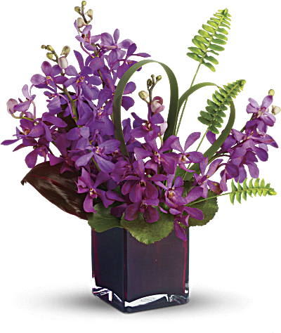 La princesse de l’île de Teleflora : orchidées violettes avec feuilles tropicales et fougères dans un élégant cube en verre couleur prune.