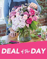 Deal of the Day Flowers