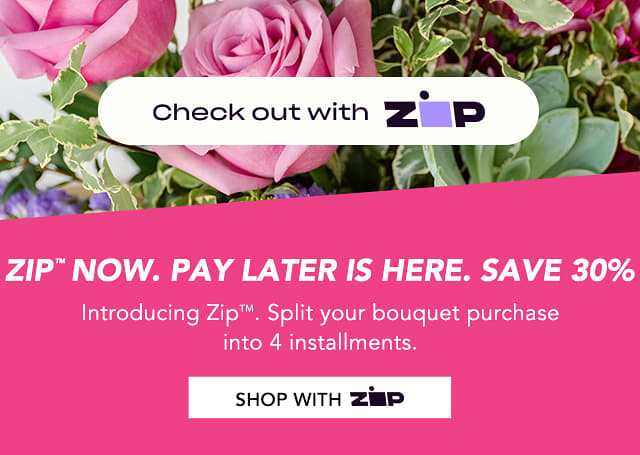 Zip now. Pay later. Save 30%