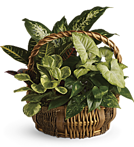 Emerald Garden Basket, picture