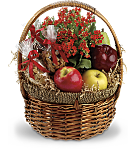 Health Nut Basket, picture