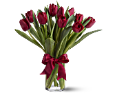 Radiantly Red Tulips, picture