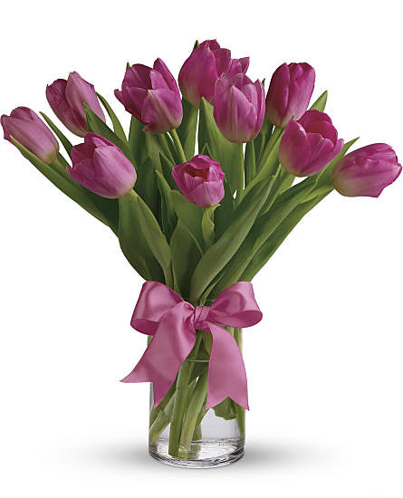 Precious Pink Tulips Flowers Precious Pink Tulips Flower Bouquet Download this picture of tulip bunch for free! sears flowers
