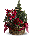 Tannenbaum Basket Flowers