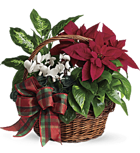 Holiday Homecoming Basket, picture