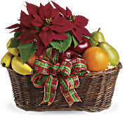 Fruit and Poinsettia  Gift Basket