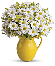 Teleflora's Sunny Day Pitcher of Daisies Flowers
