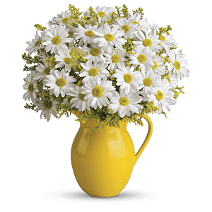 Send Teleflora's Sunny Day Pitcher of Daises flower arrangement