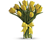 Sunny Yellow Tulips, picture