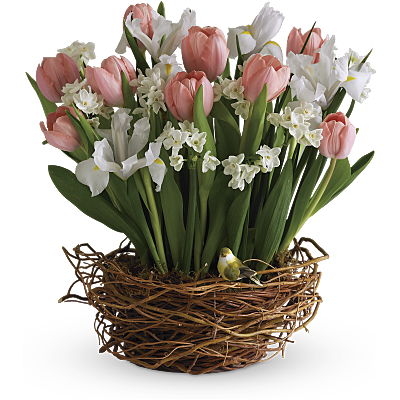 Tulip Song Basket Arrangement