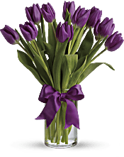 Passionate Purple Tulips Flowers