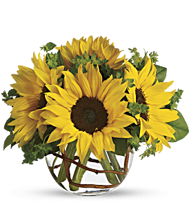 Sunny Sunflowers, picture