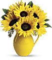 Teleflora's Sunny Day Pitcher of Sun Flowers