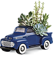 His Favorite Ford F1 Pickup by Teleflora Plants