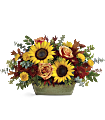 Teleflora's Sunflower Farm Centerpiece Flowers