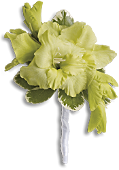 Grand Gladiolus Boutonniere Flowers