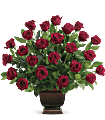 Teleflora's Rose Tribute Flowers