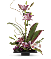 Imagination Blooms with Cymbidium Orchids Flowers