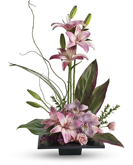 Imagination Blooms With Cymbidium Orchids Flowers Imagination Blooms With Cymbidium Orchids Flower Bouquet,How Long Till Puppies Open Their Eyes