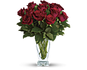 Teleflora's Rose Classique - Dozen Red Roses, picture