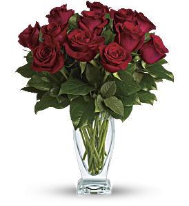 Teleflora's Rose Classique - Dozen Red Roses, picture
