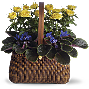 Garden To Go Basket Plants