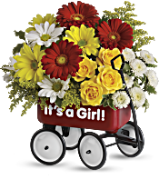 Baby's Wow Wagon by Teleflora - Girl Flowers