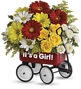 Baby's Wow Wagon by Teleflora - Girl, picture