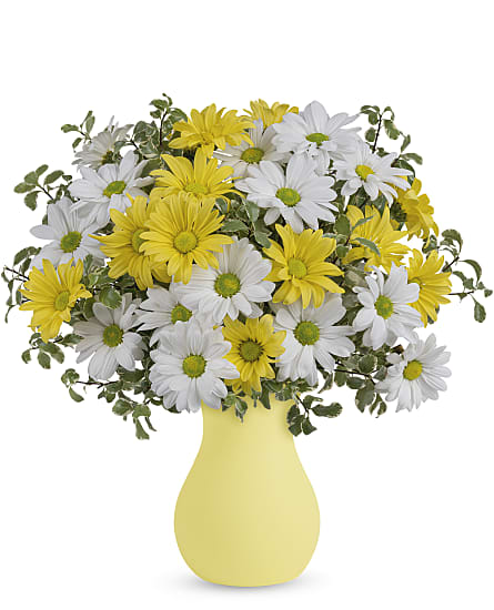 Upsy Daisy