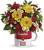 Campbell's Healthy Wishes Bouquet by Teleflora Flowers