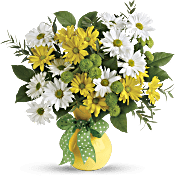 Teleflora's Daisies And Dots Bouquet Flowers
