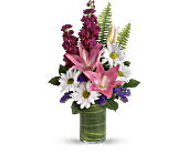 Teleflora's Playful Daisy Bouquet, picture