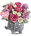 Teleflora's Hello Sweet Baby - Pink Flowers