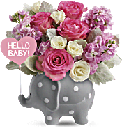 Teleflora's Hello Sweet Baby - Pink Flowers