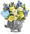 Teleflora's Hello Sweet Baby - Blue Flowers