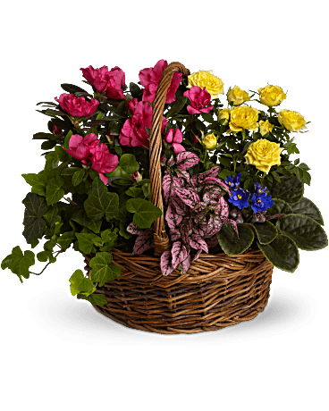Blooming Garden Basket Teleflora Blooming Garden Basket Teleflora